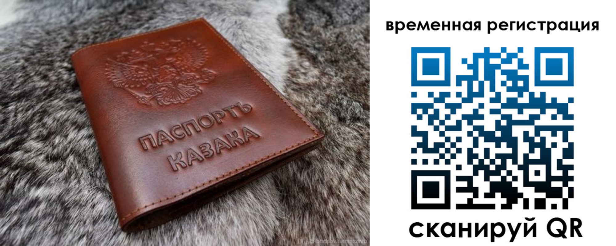 прописка 2025 в Далматово